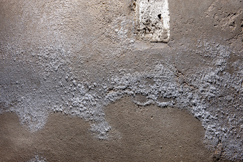 Conséquences de l’humidité sur la santé et l’efficacité énergétique Mur avec du salpêtre
